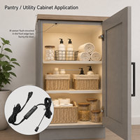Capteur de porte simple OEM Série N 12V 24V Contrôle centralisé Installation facile Encastré 8mm Armoire automatique N08C-24