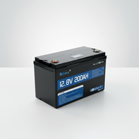 Baterai Solid State LiFePO4 12V 300Ah Deep Cycle, Arus Kontinu 200A, 4000 Siklus, Garansi 2 Tahun untuk RV Off-Grid
