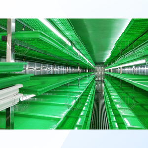 Tốt bán hoàn toàn tự động trang trại hệ thống thủy canh thức ăn gia súc nấm thức ăn gia súc phát triển phát triển container đậu nảy mầm Máy Nông Nghiệp - Product Image 4