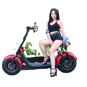 2020 Citycoco 2000W US Market Fat Tire Electric Scooter For Adult