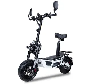 Maxmov X7 Scooter Electric for for Adults with 2-wheel Big Wheel Hub Motor and Hydraulic Front Shock Absorber Electronic Plastic