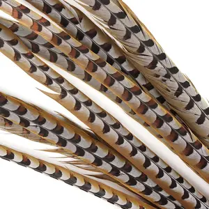 Оптовая продажа, высокое качество, длина 110-120 см, оригинальные дамские центральные части Амурского хвоста фазана, перо для плюмажа