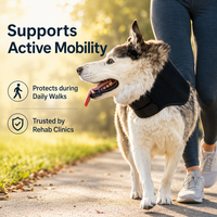 Collier cervical pour chien en polyester innovant, respirant, écologique et durable, avec charnière métallique, support cervical sûr, rééducation professionnelle pour animaux de compagnie