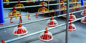 Mangeoire automatique en plastique pour poulets Équipement d'élevage de volaille Équipements de volaille Ligne de production d'alimentation - Product Image 2