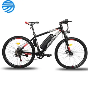 Cheap price 36v 250w electric bike 10.4 AH electric bicycle 21speed electric cycling