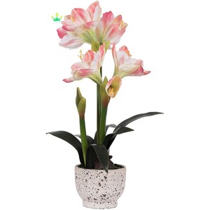 <span class=keywords><strong>Amaryllis</strong></span> artificiel rose en pot rond en céramique, arrangement en plastique et céramique <span class=keywords><strong>de</strong></span> qualité supérieure et durable pour la décoration <span class=keywords><strong>de</strong></span> table à la maison ou au bureau - Product Image 1