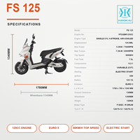 Scooter à essence moderne 125cc EURO 5, moto à essence avec pneus larges 120/70-12, transmission automatique CVT, scooter urbain 125cc