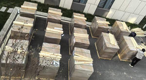 Medidor de Densidade <span class=keywords><strong>SF6</strong></span> para Equipamentos Elétricos Manômetro Caixa de Aço Inoxidável SUS-304 Classe de Precisão 2,5% Proteção IP5/IP54 - Product Image 6