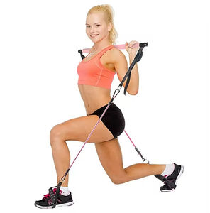 Kit de Barra de Pilates con Bandas de Resistencia, Barra de Pilates Portátil para Gimnasio en Casa, Kit de Barra de Resistencia para Ejercicios de Cuerpo Completo para Mujeres - Product Image 2