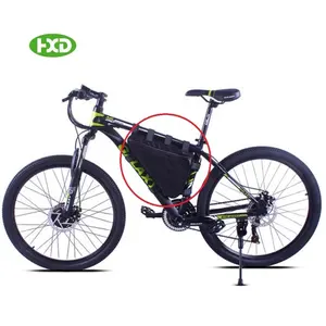 Hot Sale Isi Ulang 1000W Ebike Segitiga Dioperasikan 48V 20Ah Li-Ion Electric Bike Battery Pack
