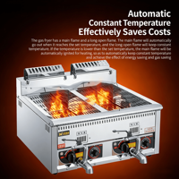 Freidora Industrial Multifuncional de Acero Inoxidable de Alta Calidad con Certificación CE, de Gas Natural, 1600W+, para Pollo y Papas Fritas