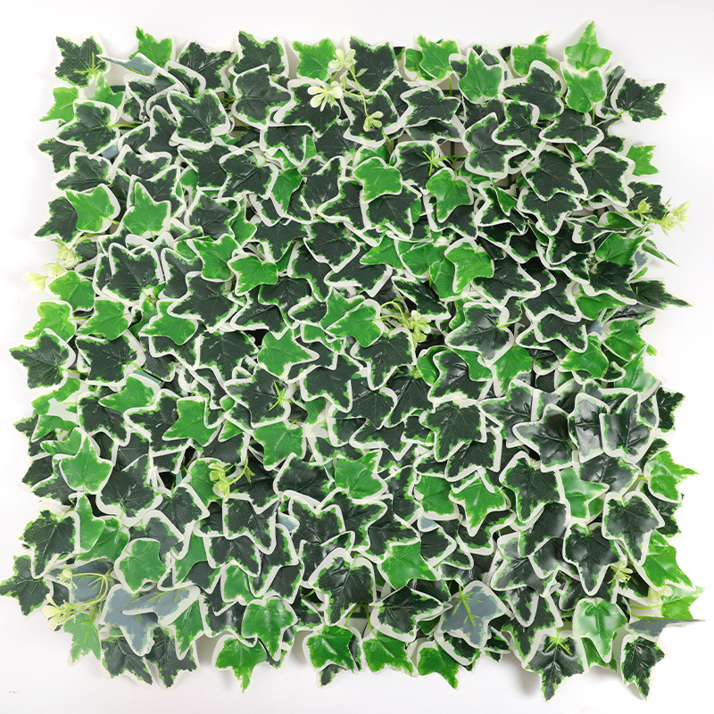 เถาวัลย์เวอร์จิเนียขอบขาวติดกาว 50ซม.*50ซม