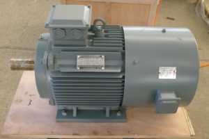 Generador Magnético de 5kw con Certificación Estándar CE, Alternador en Venta, Generador Magnético YGDL-5kW - Product Image 3