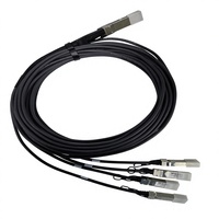 Câble de brassage DAC haute vitesse en cuivre 100G QSFP28 vers 4x25G SFP28 pour applications de réseau de serveurs d'interconnexion de centres de données, compatible PoE 5G