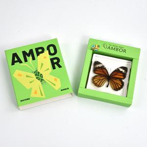 تحنيط فراشة في راتنج مستجدات عينة حقيقية للفتيان والفتيات هدايا للعودة إلى المدرسة والتخرج - Product Image 6