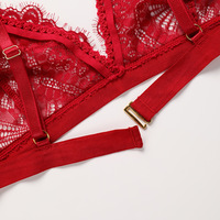 BPX114 nouveauté Sexy dentelle string culotte dames sous-vêtements coton entrejambe soutien-gorge et bref ensembles
