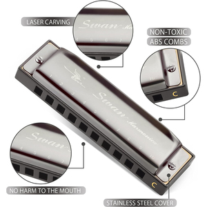 Sáo harmonica diatonic bằng thép không gỉ màu bạc, 10 lỗ, 20 âm, khóa C, thương hiệu SWAN Blues, dành cho người mới bắt đầu, bán buôn - Product Image 3