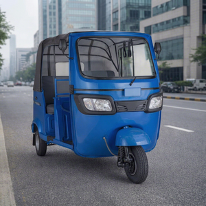 Triciclo Eléctrico TVS King con Reversa, 48V 501-800W, Carrocería Cerrada, 3 Pasajeros, Color Personalizado, Motor sin Escobillas, Pantalla LCD, 90km/h - Product Image 1