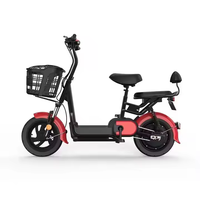 Vélo électrique 24 pouces avec panier 350W 48V 13Ah moteur puissant pour les trajets en ville et la saleté