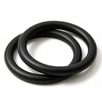 560315 Fluororubber O-ring, Aksesori Penyegel Flensa Sensor Perpindahan Magnetostriktif, Komponen Penyegel Silinder Oli