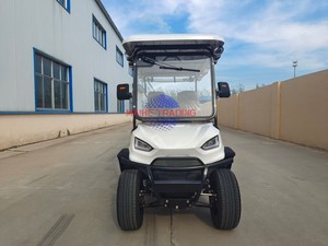 Carrito de Golf Eléctrico de Lujo para 4 Personas con Batería de Litio - Product Image 4