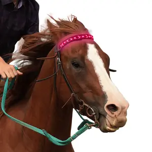 फैक्टरी थोक सुरक्षा हल्के घोड़े के उपकरण का नेतृत्व कर घोड़े का सिर कॉलर