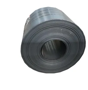 Hot Sale Hot Rolled Carbon Steel Coil 0.2mm 0.3mm 0.5mm Factory Price 1mm Thickness