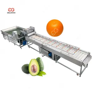 Gelgoog Tangerine Washing Cleaning Cactus Cherry Cleaner Machine for Avocado Cleaning