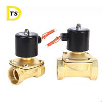 Vanne solénoïde de contrôle en laiton normalement fermée pour eau chaude, série cuivre 2 voies, gaz, OEM DN15-DN50, températures basse/moyenne/élevée, directement de l'usine