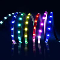 Magic Color Dream Light 20m Ws2812 Bande LED Bande LED intelligente sans fil pour les grossistes