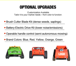 Good Condition 500mm CE EPA All-Terrain RC Lawn <b>Mower</b> <b>Flail</b> <b>Mower</b> Gasoline Powered Brush Cutter for Tall Grass LHD-500 Powerful - Product Image 6