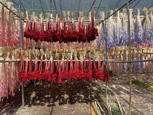 60Pcs Thỏ Đuôi Cỏ Bảo Quản Thỏ Đuôi Cỏ Khô Bó Hoa Cho Boho Trang Trí Nội Thất - Product Image 5