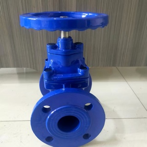 Thanh ẩn con dấu mềm đàn hồi ghế con dấu Van cổng EPDM cao su tráng vật liệu sắt dễ uốn - Product Image 6