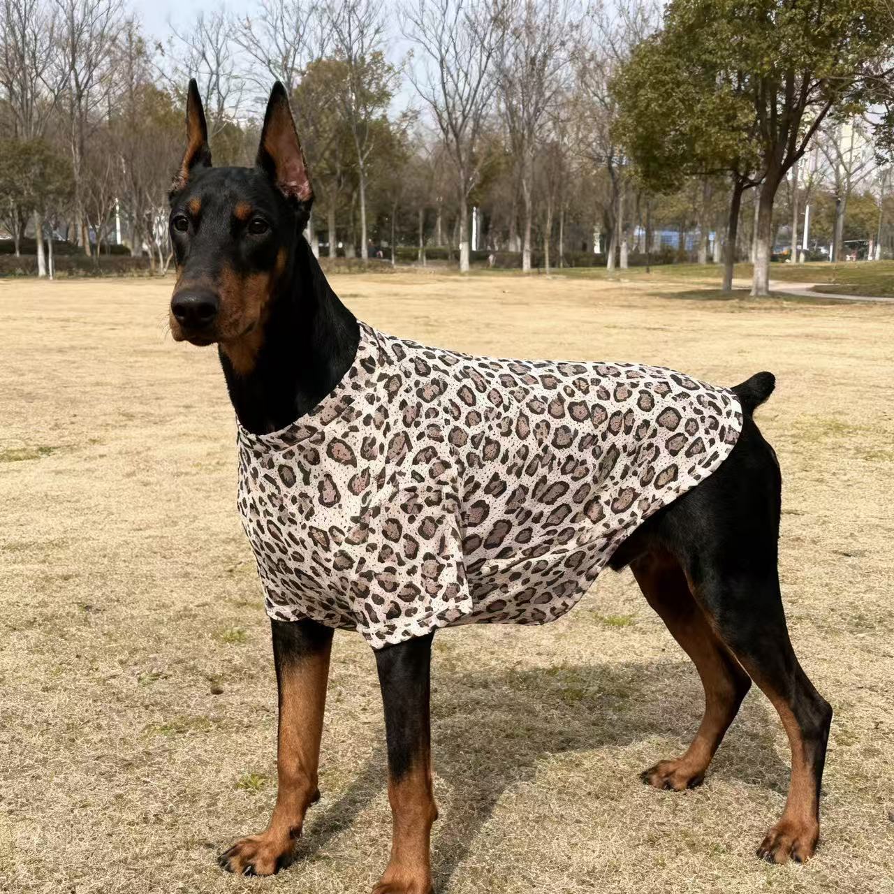 Estampado de leopardo