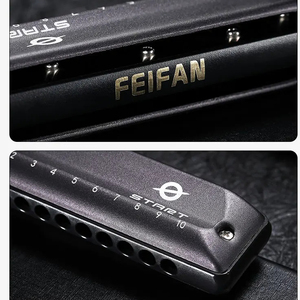 FEIFAN profesional y principiante 10 agujeros C clave diatónica armónica <span class=keywords><strong>Blues</strong></span> boca órgano <span class=keywords><strong>para</strong></span> estudiantes y adultos regalo perfecto - Product Image 3