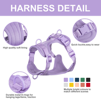 Ensemble Complet Harnais, Collier et Laisse pour Chien Personnalisé et Imperméable en PVC Polyester avec Distributeur de Sacs à Déjections