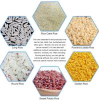 Chine Jinan ville entièrement automatique extrudeuse d'aliments à double vis machine de fabrication de riz artificiel instantané machine à riz enrichi
