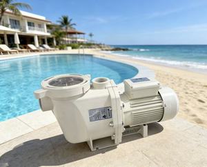 Bomba para Piscina Estilo Pentair de 1hp2hp3hp a Bajo Precio, Venta Directa de Equipos de Limpieza de Piscinas, Bomba para Piscina 2026 - Product Image 1