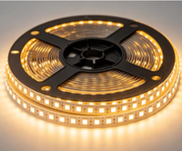 Lampu Tali LED CE ROHS 5050 IP20 120 LED 5m Gulungan 12V Dapat Diredupkan Fleksibel Strip Lembut untuk Dinding Latar Belakang TV