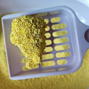 <span class=keywords><strong>Arena</strong></span> para Gatos de Mijo de Aglutinación Rápida Ecológica, Suministro Directo de Fábrica - Product Image 6