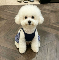 Vêtements pour chiens - Pièce légère printemps/été - Expédition directe - Gilet respirant à bretelles anti-chute de poils - Robe pour chien/chat
