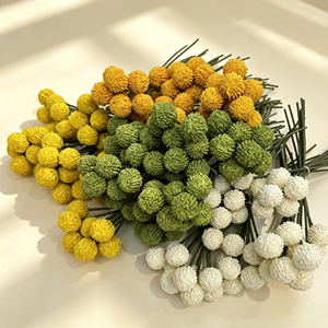 Fleurs séchées Billy Button, Craspedia boule dorée préservée pour arrangements <span class=keywords><strong>de</strong></span> fleurs séchées - Product Image 3