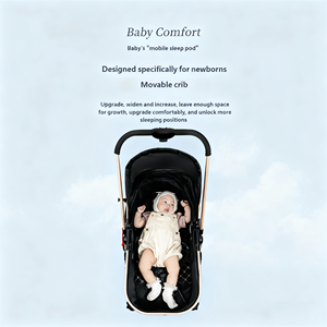 Wellpal Poussette de voyage multifonctionnelle de luxe 3 en 1 de haute qualité, équipement élégant pour bébé - Product Image 3