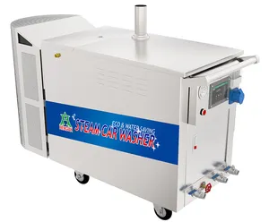 LPG Liquefied Petroleum/Propane Gas Mobile Industrial Vapor Steam Washing Equipment for Door to Door Cleaning