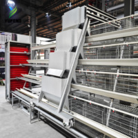 Équipement avicole automatique : Cages pour poules pondeuses de type A, 3/4 niveaux, 96/120/128/160 poules, poulaillers en batterie pour poules pondeuses
