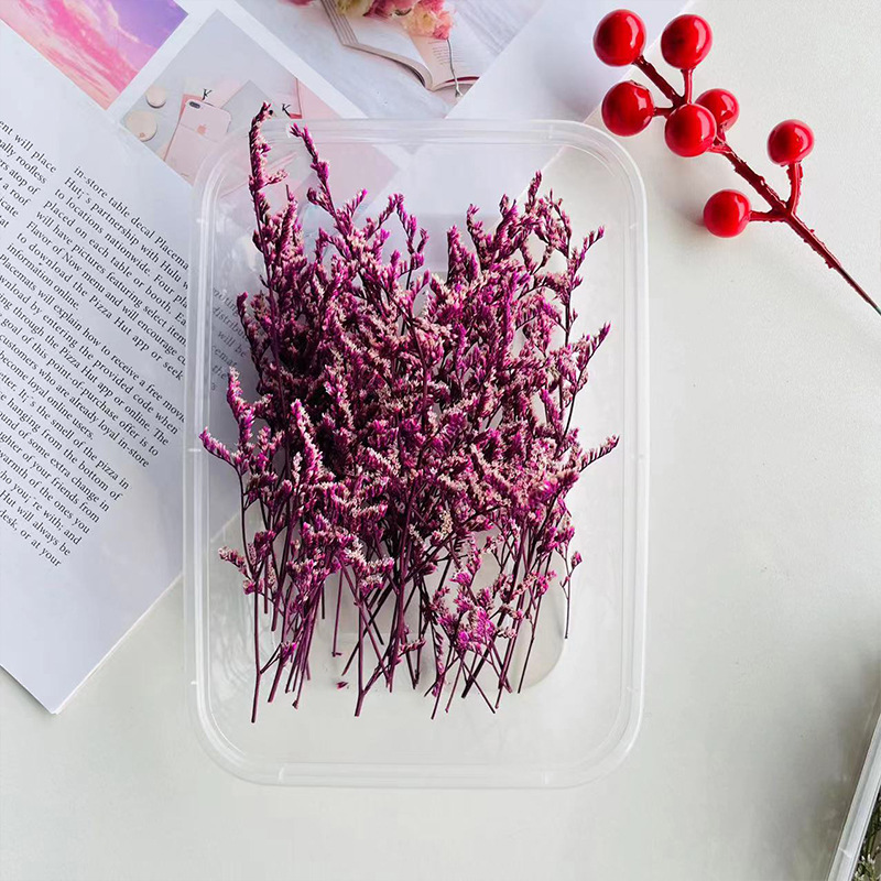 10g di erba amante viola