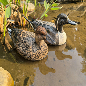 Leurre de chasse gonflable Crow <span class=keywords><strong>Eva</strong></span> Mold pour oiseaux et animaux : Élan, Cisil, Pigeon, Caille, Oie, Dinde, Épervier, Canard - Product Image 3