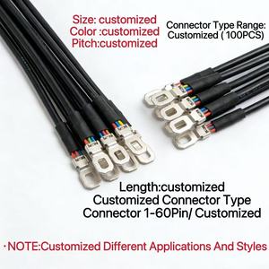 Özel Uzunlukta 2 Pinli Terminal Kablosu, Pozitif/Negatif Bağlantılar için Net Polarite İşaretlemeyle - Product Image 1