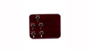 โล่ประกาศเกียรติคุณ5ดาวทำจากโลหะคุณภาพระดับพรีเมียมรางวัลสลักสำหรับนักแสดงชั้นนำสำหรับการจัดหาทั่วโลก - Product Image 2