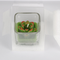 Bougie cactus de noël pour enfants, 10 pièces, ensemble cadeau, emballage pour petites attentions pour les bébés, livraison directe